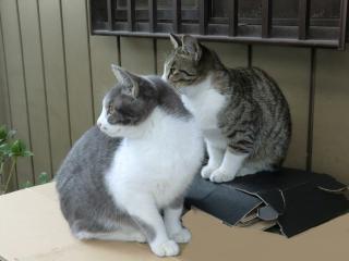 c3_20120502164841.jpg