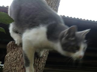 c4_20120430092521.jpg