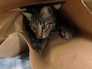 d3_20120411152641.jpg
