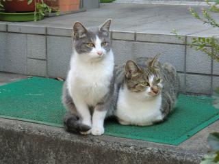 d3_20120430092627.jpg