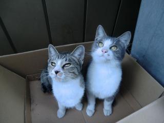 e2_20120430165634.jpg