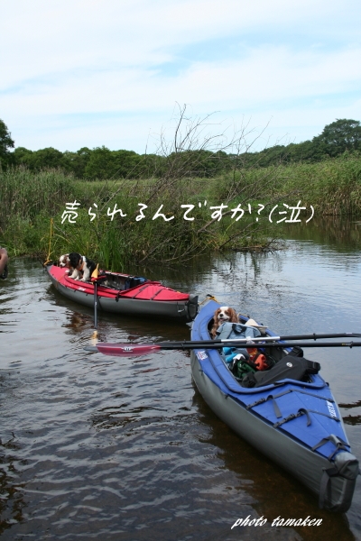 20110828_0691.jpg