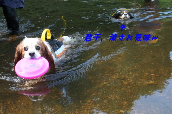 20110828_0714.jpg