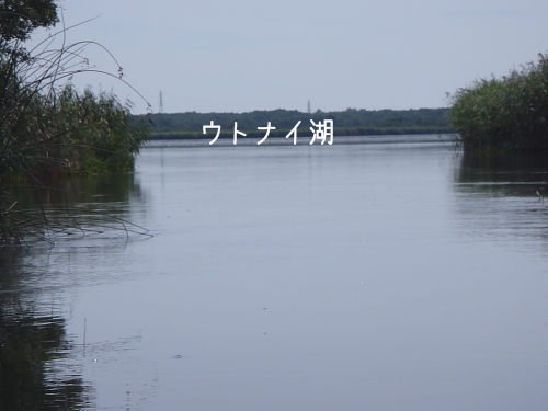 2011 08 28_7881
