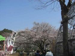逕サ蜒・010_convert_20120410164239