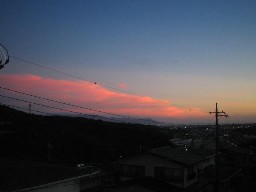 その他 003.jpg