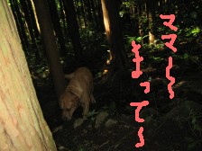 チャッキー3.jpg