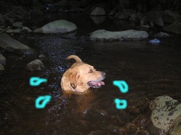 チャッキー4.jpg