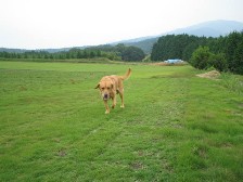 チャッキー.jpg