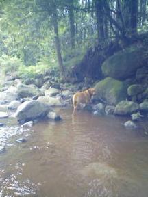 200708081459.jpg