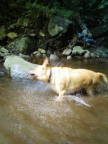 200708081500.jpg
