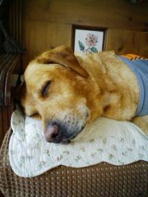 200803011450.jpgチャッキー