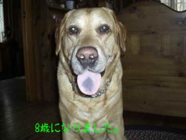 その他 071.jpg