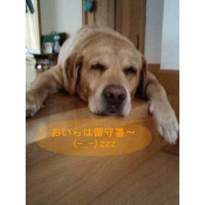 新規イメージ.JPG