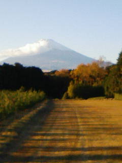 200811201546.jpg