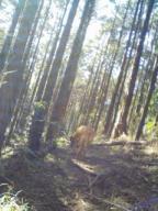 200902181225.jpg