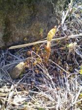 200902181202.jpg