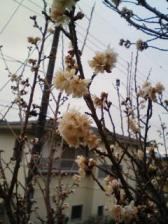 200903041251.jpg