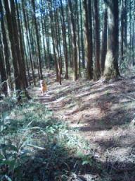 200903181119.jpg
