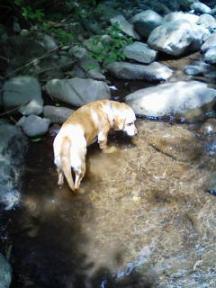 200905041218.jpg
