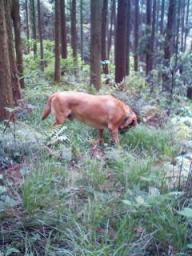 200905041215.jpg