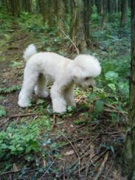 200905041216.jpg