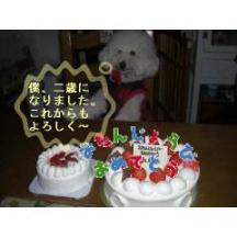 新規イメージ.JPG