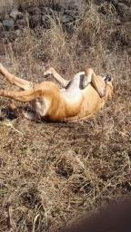 2011030910300000.jpg
