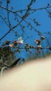 2011040715590001.jpg