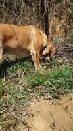 2011040715590000.jpg