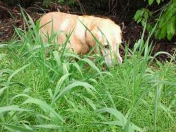 2011051313280001.jpg