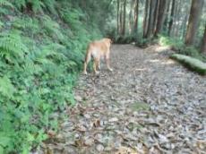 2011051713560000.jpg