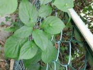 2011051713450000.jpg