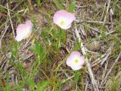 2011051611330000.jpg