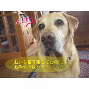 新規イメージ.JPGおみやげは?.JPG