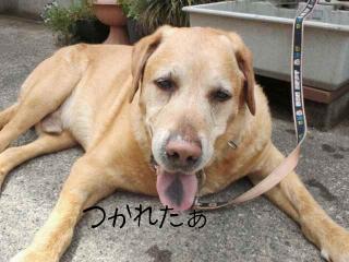 2011060311480000.jpg