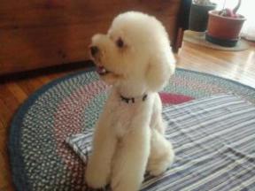 2011080517390000.jpg