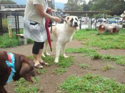2011083114310001.jpg