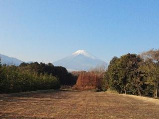 2011121514160000.jpg