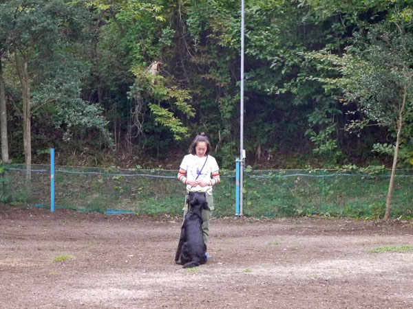 20140919c伏臥招呼-3