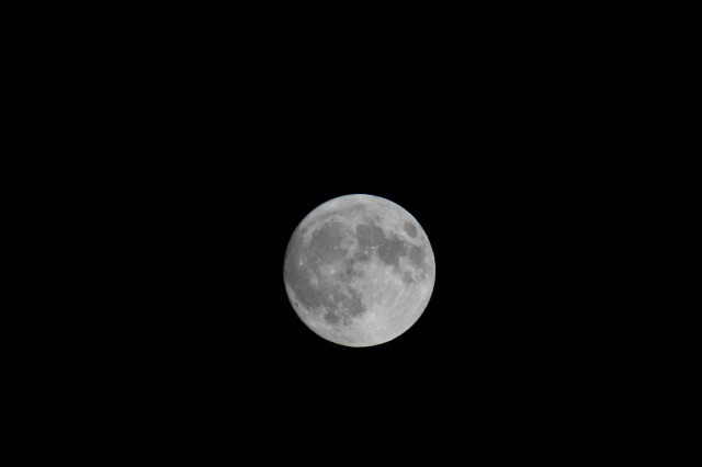 120505月 (4)