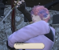 FF22.jpg