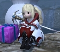FF26.jpg