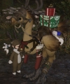 FF29.jpg