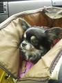 DSC_0196_20120310100334.jpg