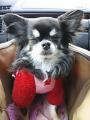 GRL_0002_20120313205329.jpg
