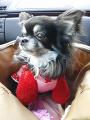 GRL_0003_20120313205329.jpg