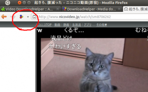 downloadhelper