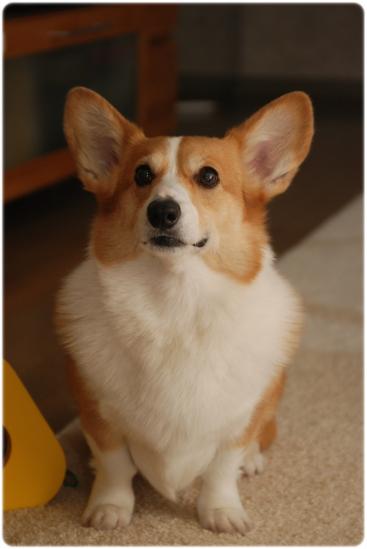 DSC_3594.jpg