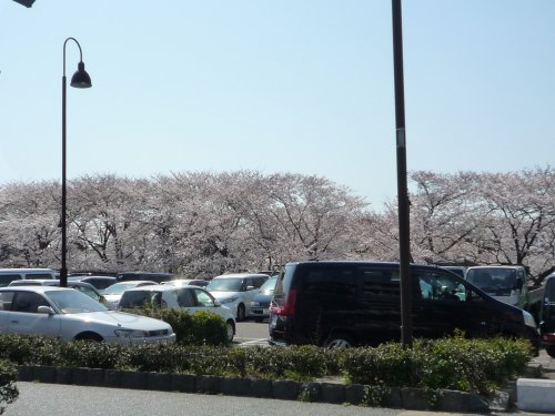 120409a.jpg